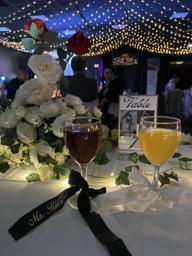 Ciel étoilé mariage guirlandes lumineuses décoration événement 11