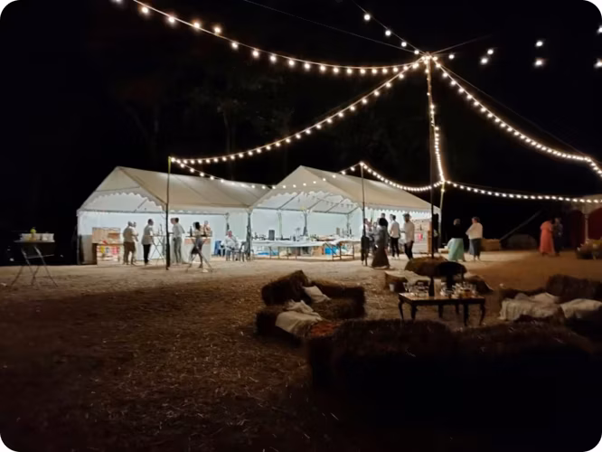 Ambiance guinguette : histoire et décoration rétro avec les guirlandes à ampoules