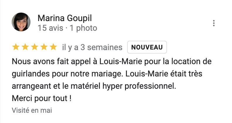 commentaire guirlandes